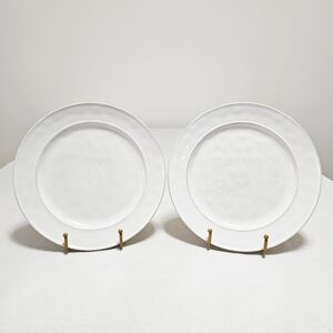 Pottery Barn Cambria Stone (2) Dinner Plates Handcrafted Rustic Trim White 10.7"